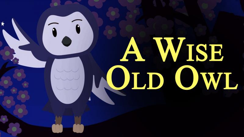 A Wise Old Owl Image