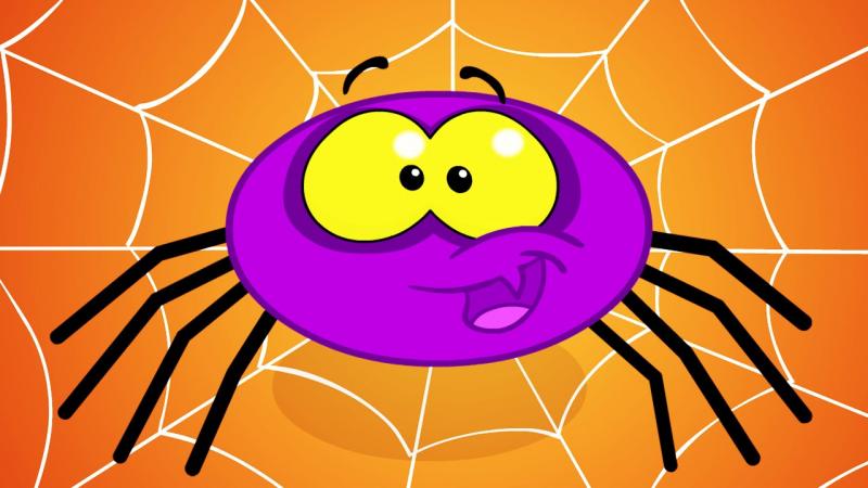 Itsy Bitsy Spider Image